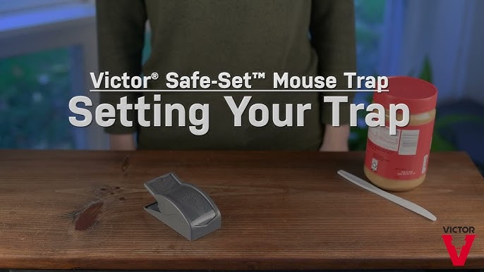 Instructions For Operating an Electronic Mouse Trap - Permakill  Exterminating