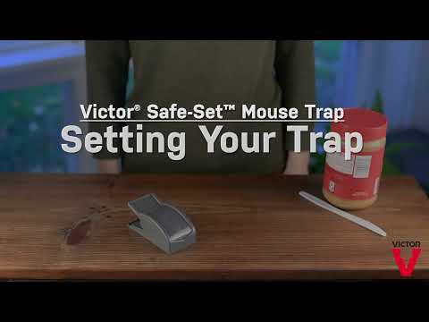 Victor Safe-Set Mouse Trap (2-Pack)