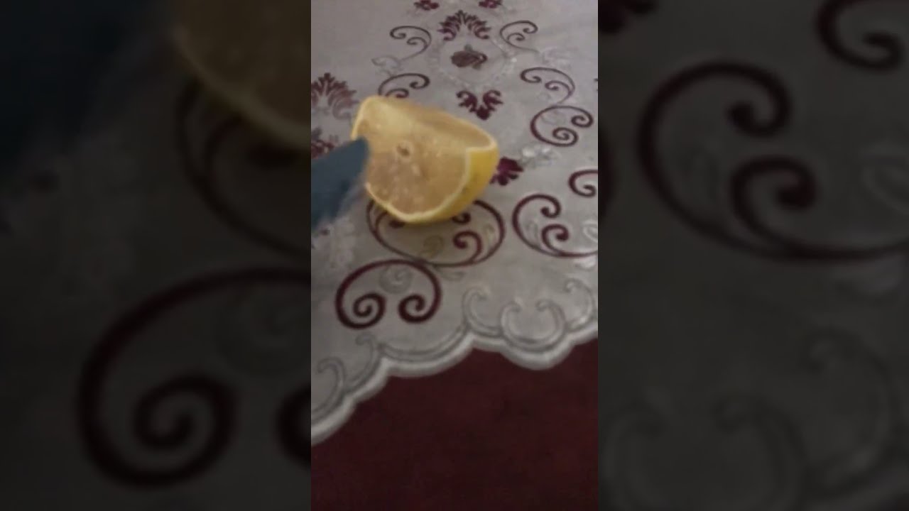 Mmmm The Lemon 