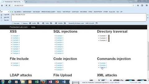 Web For Pentester Command Injection Example 2 Solution