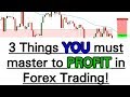 Top 3 lessons you need to make MONEY in Forex (Top 3 Discipline Mistakes & Insta contest winner)