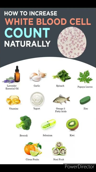How to Increase White Blood Cell Count Naturally 💯✔️