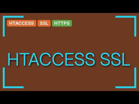 Wordpress: 403 error on admin login page