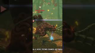 Ez fire guardian #botw #zelda #hyrulewarriors #zeldatearsofthekingdom #totk #games #link #guardian