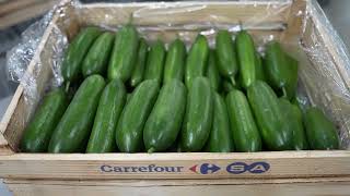 Kent Tarımının Doğrusu Carrefoursada