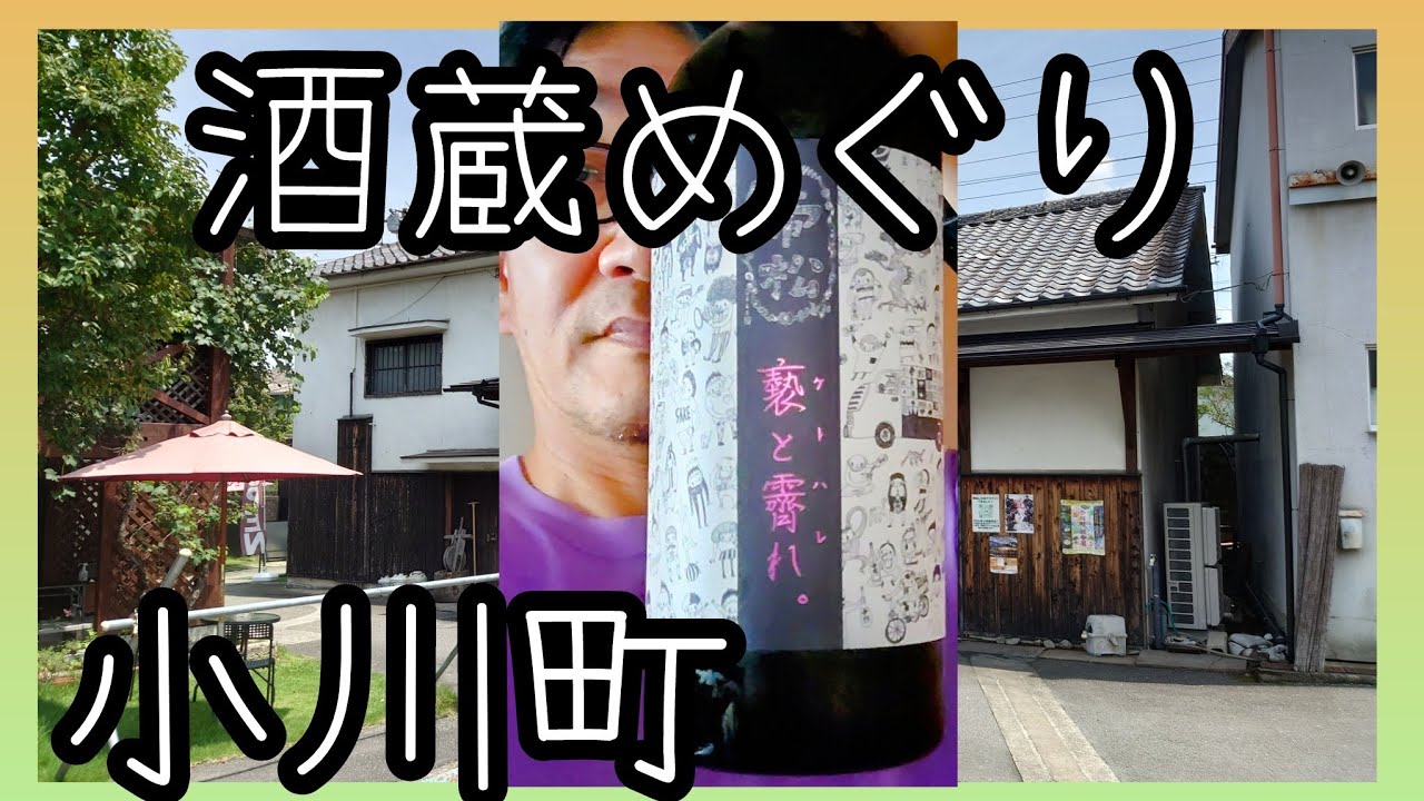 Sake Brewery Tour in Saitama 🍶 [Matsuoka Jozo] [Seiun Shuzo