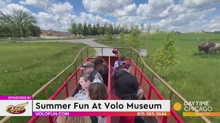 Summer Fun At Volo Museum