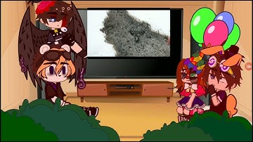 Aftons React to how to basic (Lazy)