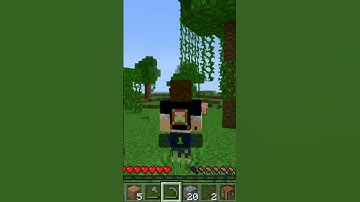 Minecraft but every 30 sec i get random effect...#short