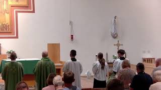 15th Sunday in Ordinary Time