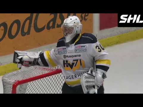 Linus Söderström #30 SHL Highlights 16/17