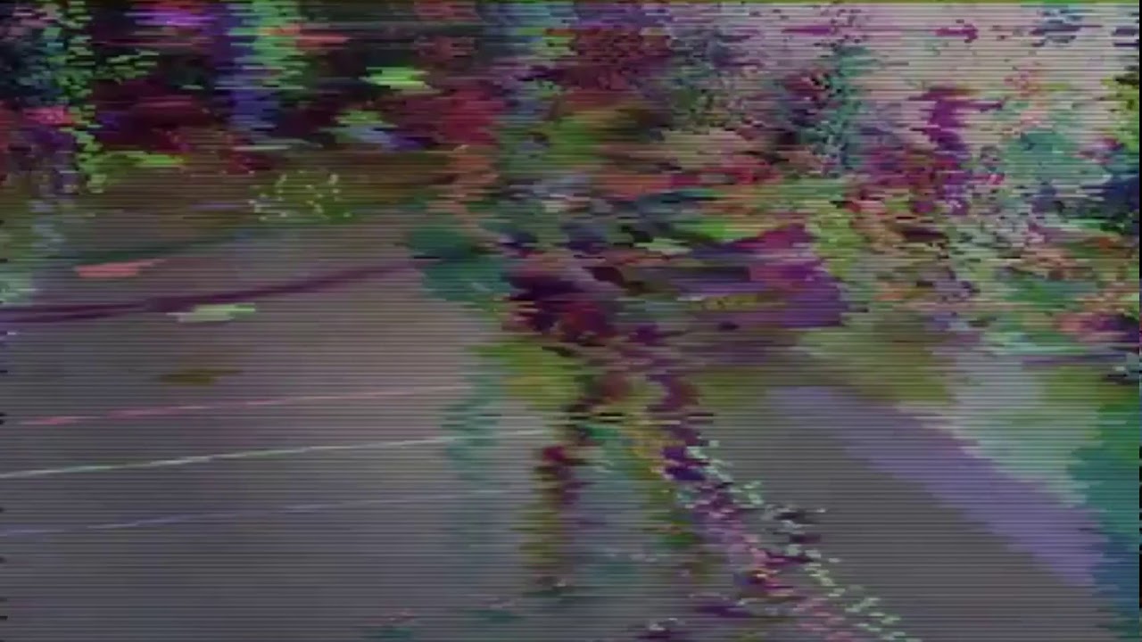 Workout with Stefan de Vrij and Wesley Hoedt