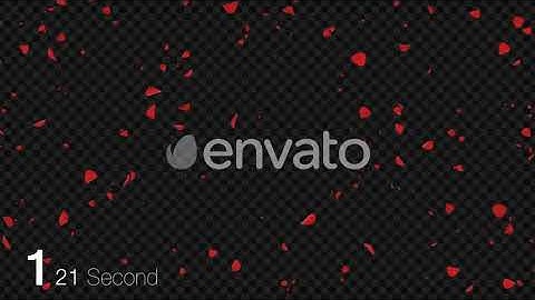Rose Petals | Motion Graphics - Envato elements