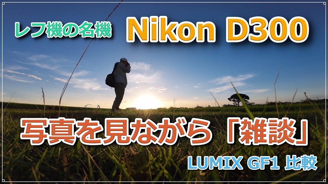 Shooting with the Nikon D300 Again: Comparison Photos with the GF1