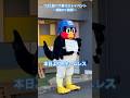 つば九郎ハウ巣ラストイベント🐧🪹最後のご挨拶〜2025/11/23