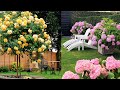 🌺Цветы Прекрасное Украшение Сада Идеи для Вашего Вдохновения / Flowers garden decoration / A - Video
