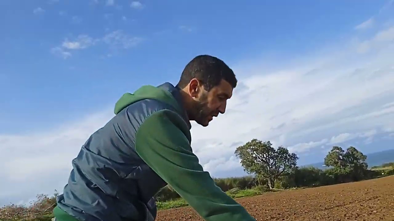 Opération traçage piquetage durant l'installation d'un verger