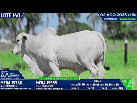LOTE 140