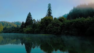 Walk with Sam Hodder through the Russian River Redwoods