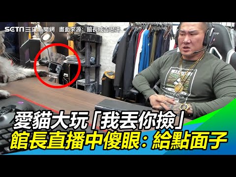 愛貓狂推杯子大玩「我丟你撿」　館長直播中傻眼：給點面子 │政常發揮