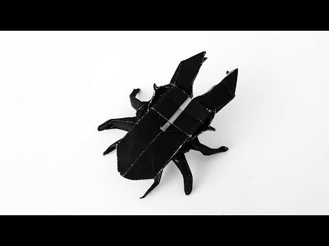 사슴벌레 종이접기 maculifemoratus Insect origami designed by Neige A
