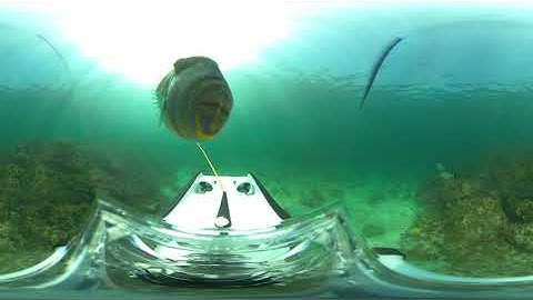 Insta360 OneX mounted to OpenROV Trident underwater drone test in 360