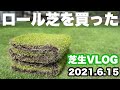 ロール芝を買ってみた！超新鮮でみずみずしい芝ソッド。掛かった費用は？【芝生VLOG】