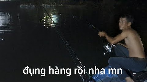 Tập 5 ( trải nghiệm săn cá lăng đầu nguồn sông tiền và cái kết....toàn 67 vlog