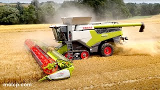 4Kᵁᴴᴰ Harvest 2023: Claas Lexion 8900 TT combine harvester cutting barley in Hintlesham, Suffolk.