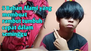 CARA MEMPERCEPAT RAMBUT TUMBUH DALAM SEMINGGU