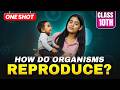 How do Organisms Reproduce? in ONE SHOT ✅ | Class 10 Science Chapter 7 | NCERT + PYQs | Samridhi S.