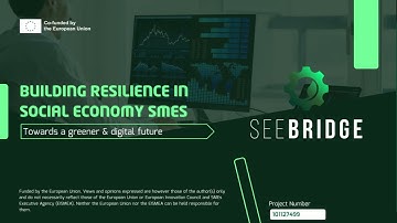 SEE BRIDGE – Building Bridges for Innovation and Cooperation in Europe
