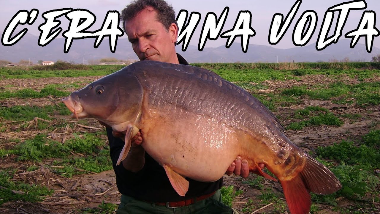 FIUMI e CANALI Pontini : Prima e dopo il Crollo - CarpFishing in fiume