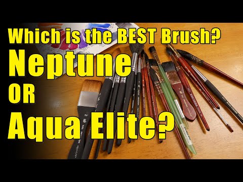 Which is the BEST Brush - Princeton Aqua Elite or Neptune? - Kris DeBruine  Studio