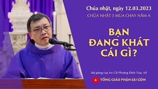 Bạn đang khát cái gì? - Lm GB Phương Đình Toại, MI | CN 3 MC năm A