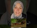 هيا ليه الخفافيش بتنام بالمقلوب اكتشف السر