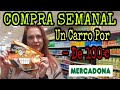 COMPRA SEMANAL MERCADONA // LLENO EL CARRO POR MENOS DE 100€💰