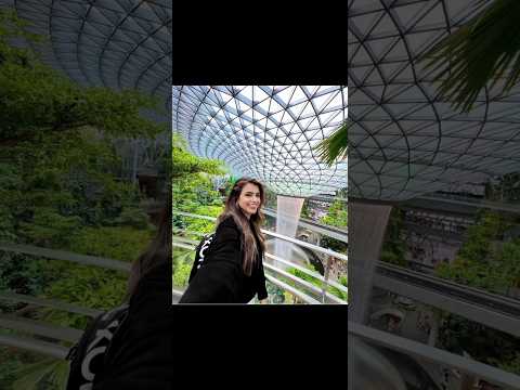 انا جامده ومش بخاف اياتي سالي ريما سارة شهد رغد ننوش كارولين