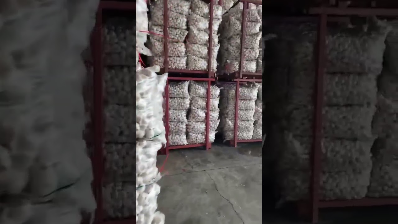 Garlic Price July 18, 2023