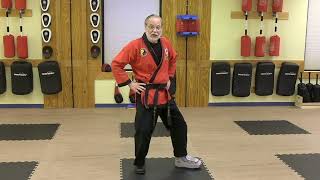 Lunge Punch in Fixed Stance
