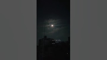 تلاوة خاشعة تبعث الطمأنينة للقلب 🌿