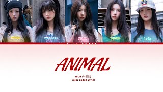 AI COVER] ILLIT - 'ANIMAL' by KATSEYE  | How would ILLIT sing ANIMAL by KATSEYE | CCD Lyrics