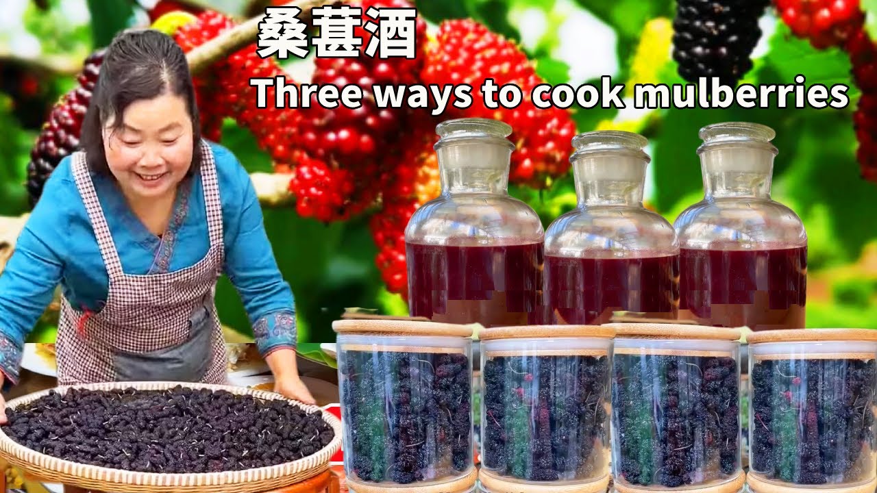 【唐小米】桑葚果丰收了，唐奶奶教你在家做桑葚酒，果香浓醇太好喝了