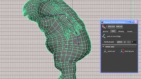 create uniform joints (also auto orient) in Maya