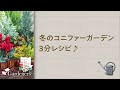 ♪ 冬の寄せ植え3分レシピ ♪冬のコニファーガーデン