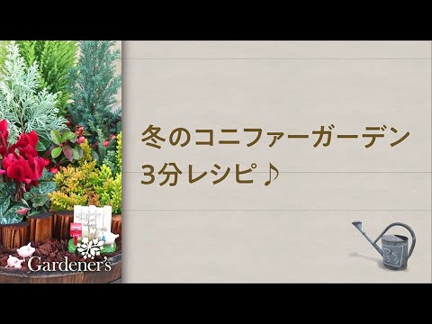 冬の寄せ植え3分レシピ 冬のコニファーガーデン Youtube