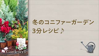 ♪ 冬の寄せ植え3分レシピ ♪冬のコニファーガーデン