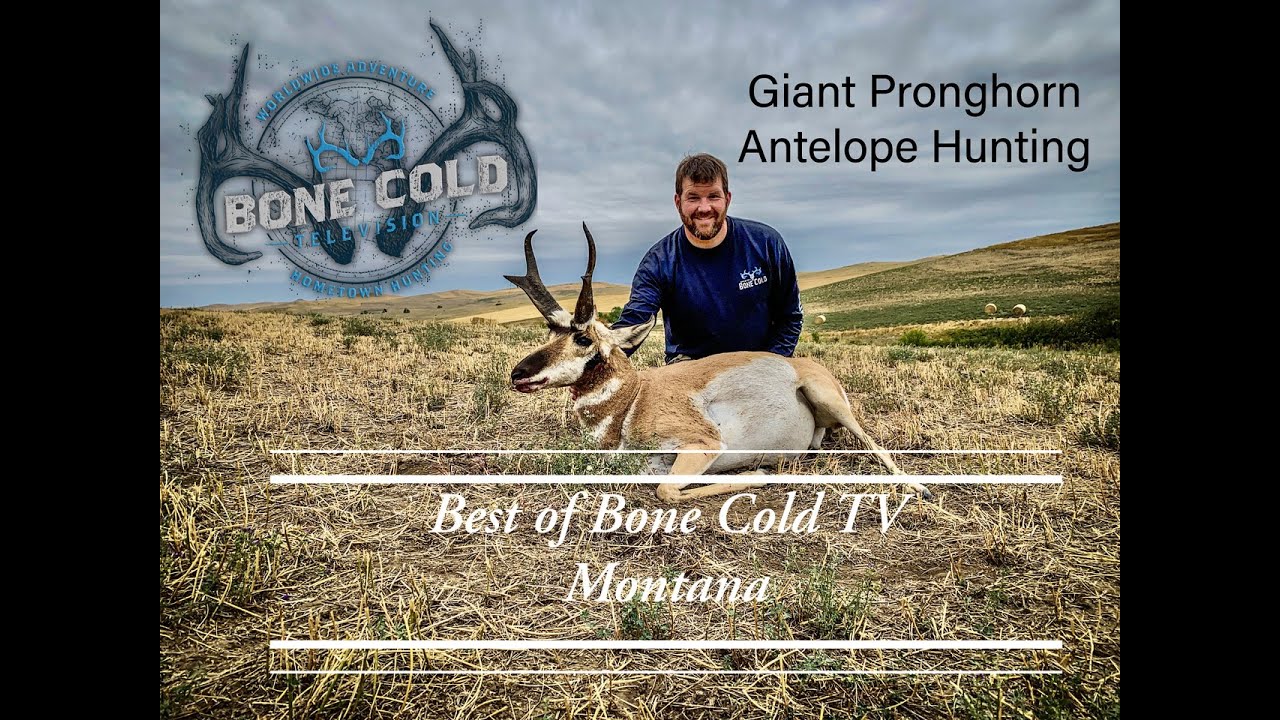 Montana Pronghorn Antelope hunting Best of Bone Cold TV