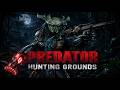 Fun with the Shock Gauntley + Crossbolt Meta on Predator Hunting Grounds