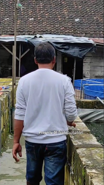 THOSE WHO SAY CATFISH FARMING IS A LOSS!!! ARE VERY WRONG #shorts